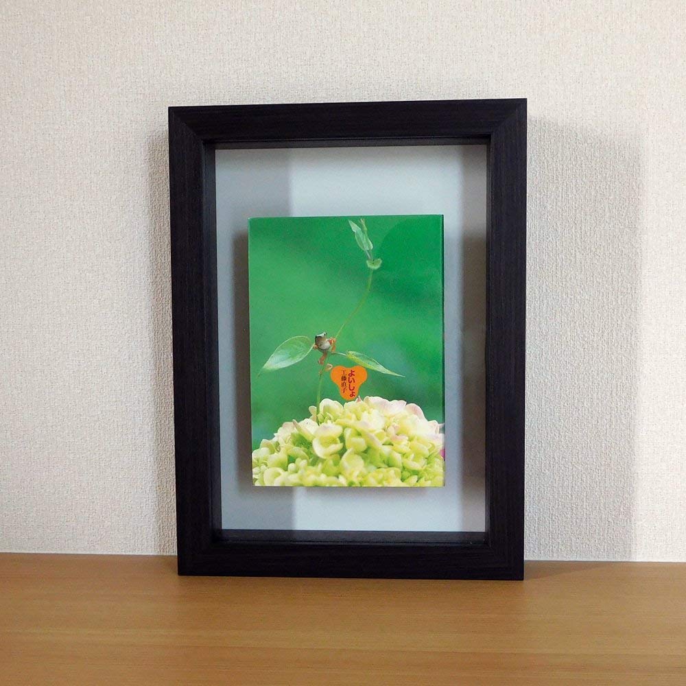 額縁と書 本の額』 BOOK フレーム 本 額縁 2siz | がくぶち家 Bisousya